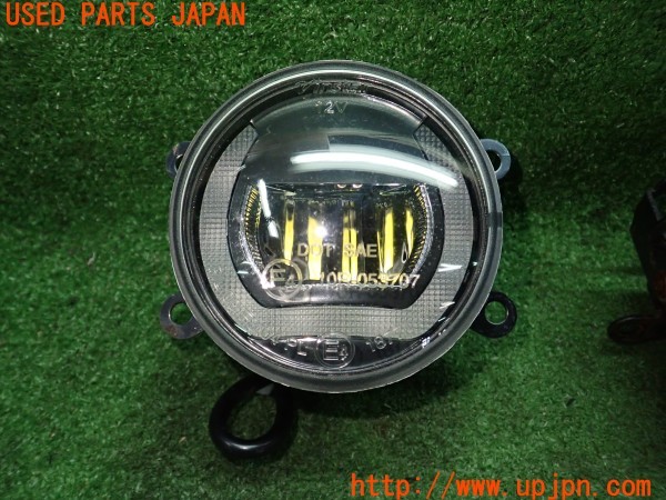 3UPJ=9230370558]エルグランド 250ハイウェイスターS(TE52)Vinstar フォグランプ 中古_2