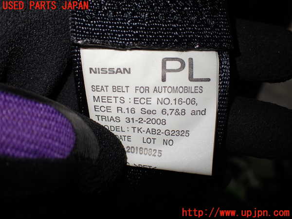 1UPJ-9230377185]エルグランド(TE52)左2列目シートベルト 中古_3