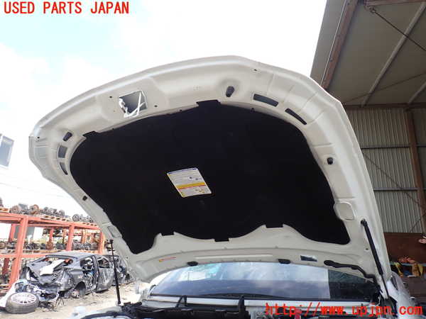 1UPJ-9231271060]マセラティ・クアトロポルテ(MQP30A)ボンネットフード 中古_5