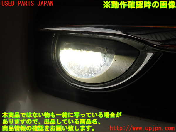 2UPJ-9234051180]スカイライン(ZV37)右フォグ (ジャンク品) 中古_5