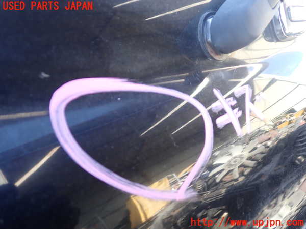 1UPJ-9236361566]ランクル80系(FZJ80G)バックドア リアゲート ハッチ 中古(43R-00034 M284)_2