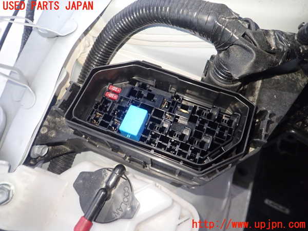 1UPJ-9238136741]カローラ ツーリング(MZEA17W)ヒューズボックス1 中古_2