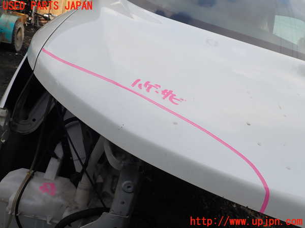 1UPJ-9238861060]エルグランド(TE52)ボンネットフード 中古_2