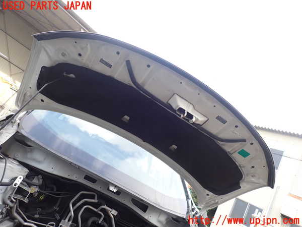1UPJ-9238861060]エルグランド(TE52)ボンネットフード 中古_4