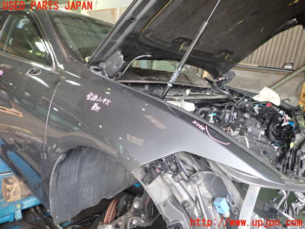 1UPJ-9238921080]レクサス・ES300h(AXZH11)右前フェンダー 中古_2