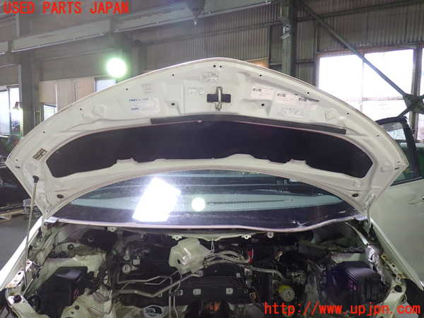 1UPJ-9239511060]エスティマハイブリッド(AHR20W)ボンネットフード 中古_3