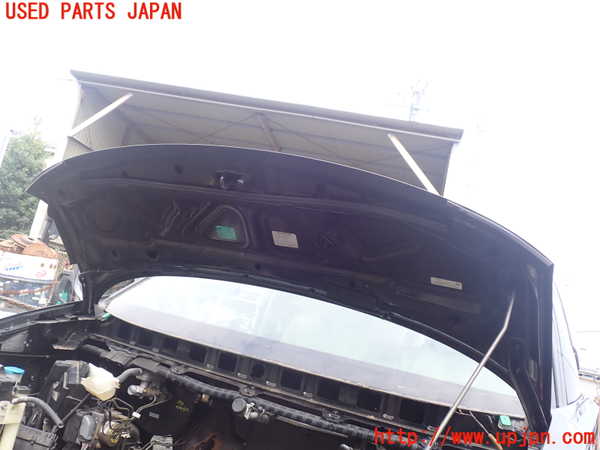 1UPJ-9239701060]エルグランド(NE51)ボンネットフード 中古_4