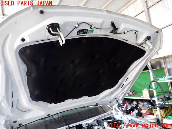 2UPJ-9240271060]BMW 523i ツーリング F11(XL20)ボンネットフード 中古_4